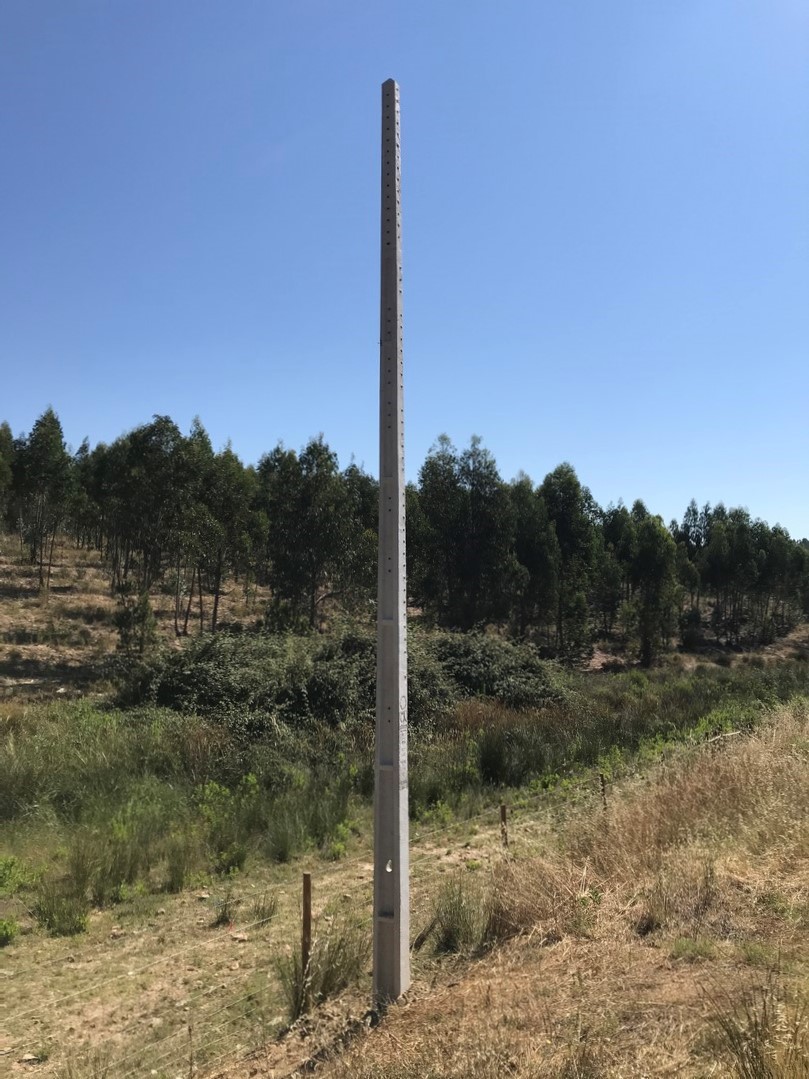 Rute Guedes Telecomunicações